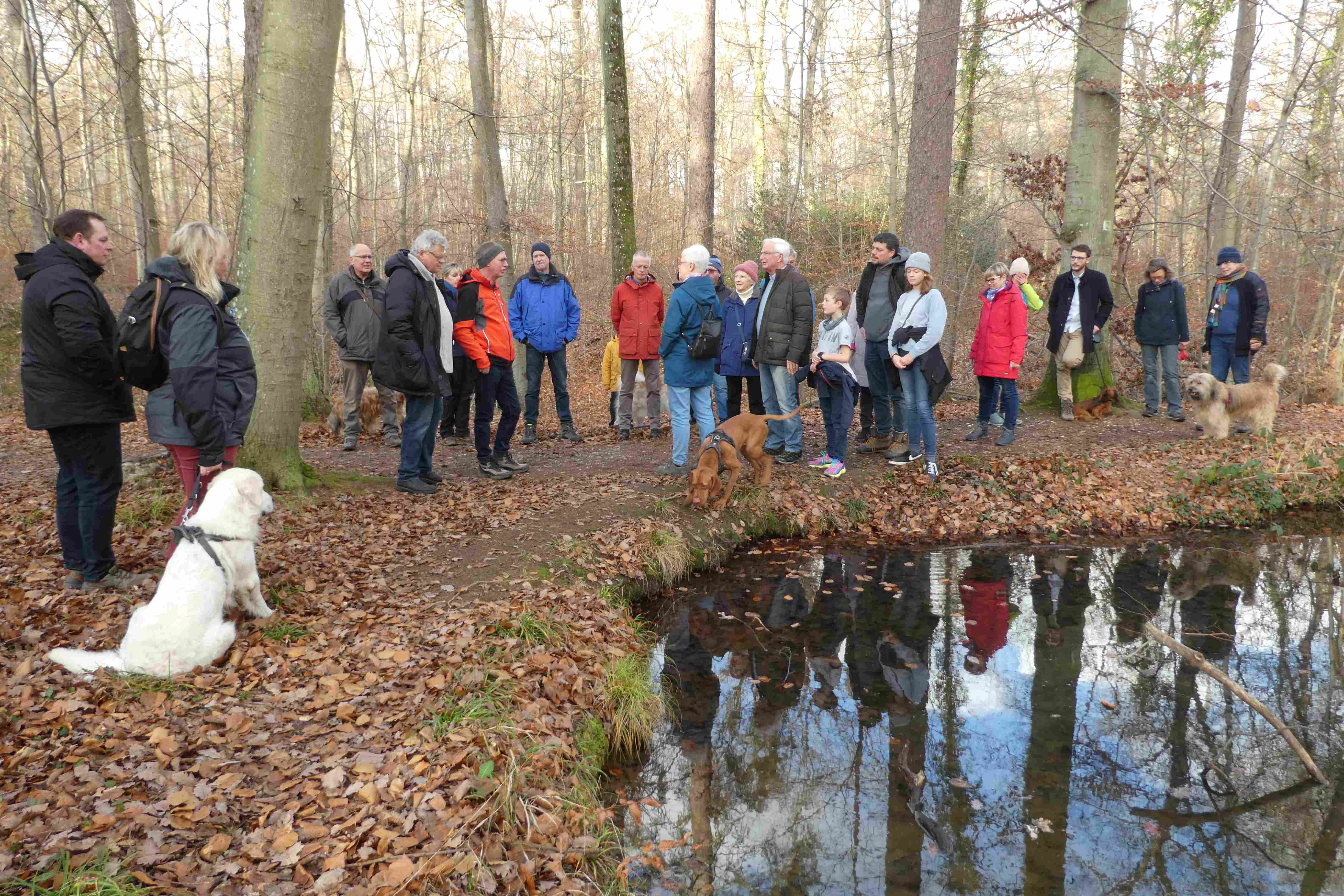 Wanderung der Lions im Rheinbacher Stadtwald zum Thema Wasser